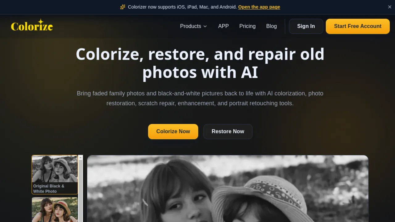 ImageColorizer homepage hero