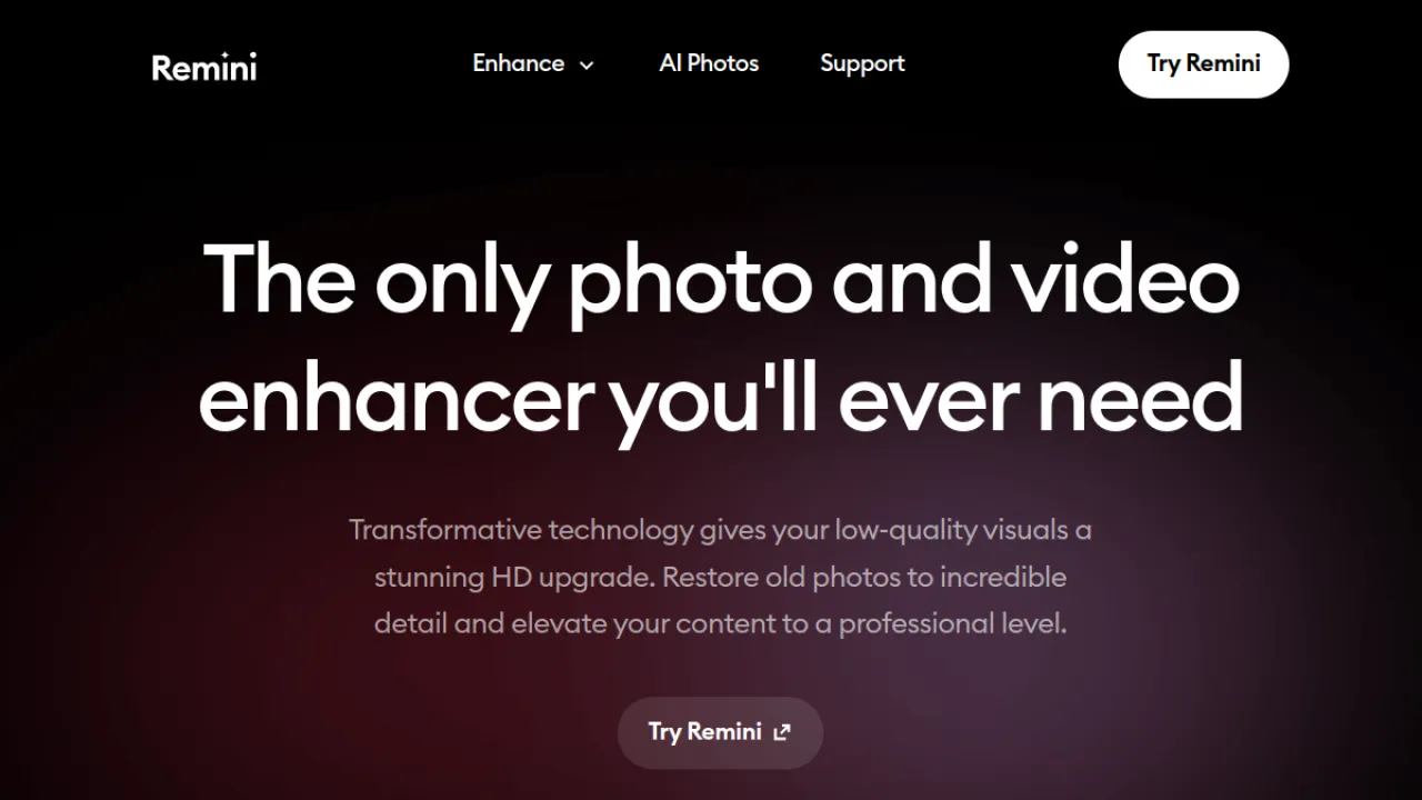Remini homepage hero